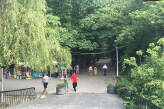 Parcul Herăstrău din Bucuresti 33