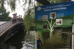 Parcul Herăstrău din Bucuresti 34