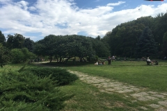 Parcul Herăstrău din Bucuresti 38