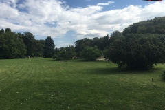 Parcul Herăstrău din Bucuresti 39