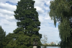 Parcul Herăstrău din Bucuresti 49