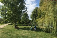 Parcul Herăstrău din Bucuresti 52