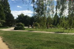 Parcul Herăstrău din Bucuresti 54