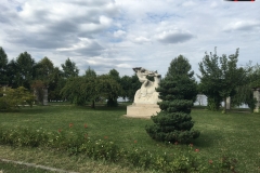 Parcul Herăstrău din Bucuresti 58
