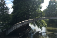 Parcul Herăstrău din Bucuresti 71