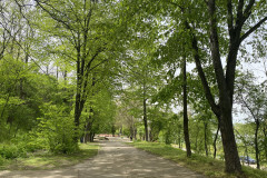 Parcul Municipal Monumentul Războiului de Independență din Calafat 24