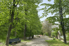 Parcul Municipal Monumentul Războiului de Independență din Calafat 25