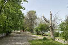 Parcul Municipal Monumentul Războiului de Independență din Calafat 26