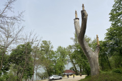 Parcul Municipal Monumentul Războiului de Independență din Calafat 28