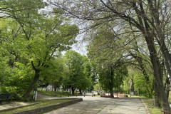 Parcul Municipal Monumentul Războiului de Independență din Calafat 30