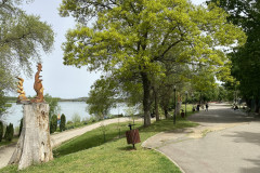 Parcul Municipal Monumentul Războiului de Independență din Calafat 60