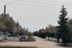 Parcul Municipal Monumentul Războiului de Independență din Calafat 92