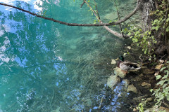 Parcul Național Lacurile Plitvice, Croatia 189