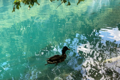 Parcul Național Lacurile Plitvice, Croatia 194