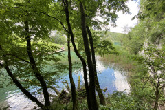 Parcul Național Lacurile Plitvice, Croatia 260