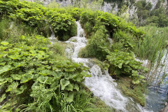 Parcul Național Lacurile Plitvice, Croatia 273