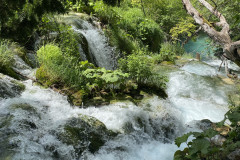 Parcul Național Lacurile Plitvice, Croatia 385