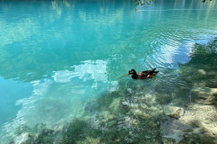 Parcul Național Lacurile Plitvice, Croatia 395