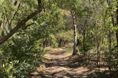 Parcul National Muntii Macinului 10
