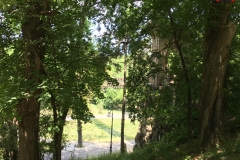Parcul Nicoale Romanescu, Craiova 108