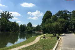 Parcul Nicoale Romanescu, Craiova 117