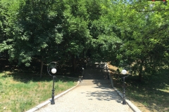 Parcul Nicoale Romanescu, Craiova 118