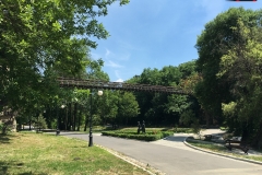 Parcul Nicoale Romanescu, Craiova 119