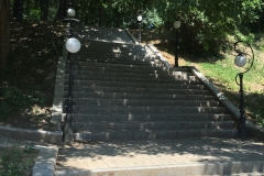 Parcul Nicoale Romanescu, Craiova 120