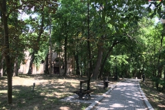 Parcul Nicoale Romanescu, Craiova 124