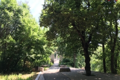 Parcul Nicoale Romanescu, Craiova 131
