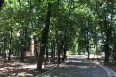 Parcul Nicoale Romanescu, Craiova 132