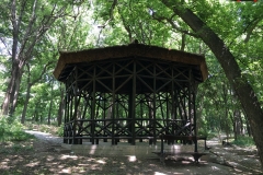 Parcul Nicoale Romanescu, Craiova 135
