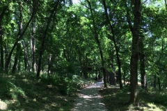 Parcul Nicoale Romanescu, Craiova 137