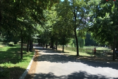 Parcul Nicoale Romanescu, Craiova 14