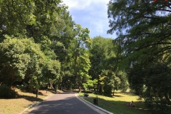 Parcul Nicoale Romanescu, Craiova 142