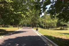 Parcul Nicoale Romanescu, Craiova 147