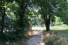 Parcul Nicoale Romanescu, Craiova 151