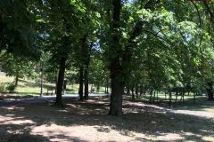 Parcul Nicoale Romanescu, Craiova 18