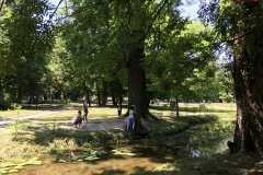 Parcul Nicoale Romanescu, Craiova 22