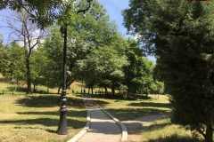 Parcul Nicoale Romanescu, Craiova 24