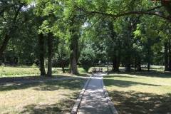 Parcul Nicoale Romanescu, Craiova 26