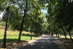 Parcul Nicoale Romanescu, Craiova 27