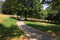Parcul Nicoale Romanescu, Craiova 29