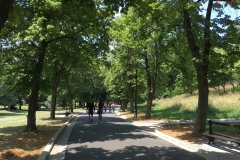 Parcul Nicoale Romanescu, Craiova 31