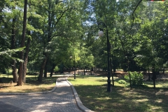 Parcul Nicoale Romanescu, Craiova 32