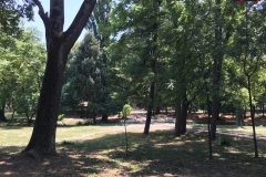 Parcul Nicoale Romanescu, Craiova 33