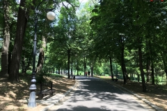Parcul Nicoale Romanescu, Craiova 43