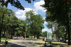 Parcul Nicoale Romanescu, Craiova 45