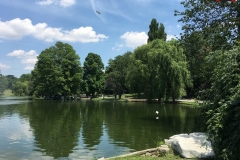 Parcul Nicoale Romanescu, Craiova 49