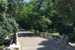 Parcul Nicoale Romanescu, Craiova 51